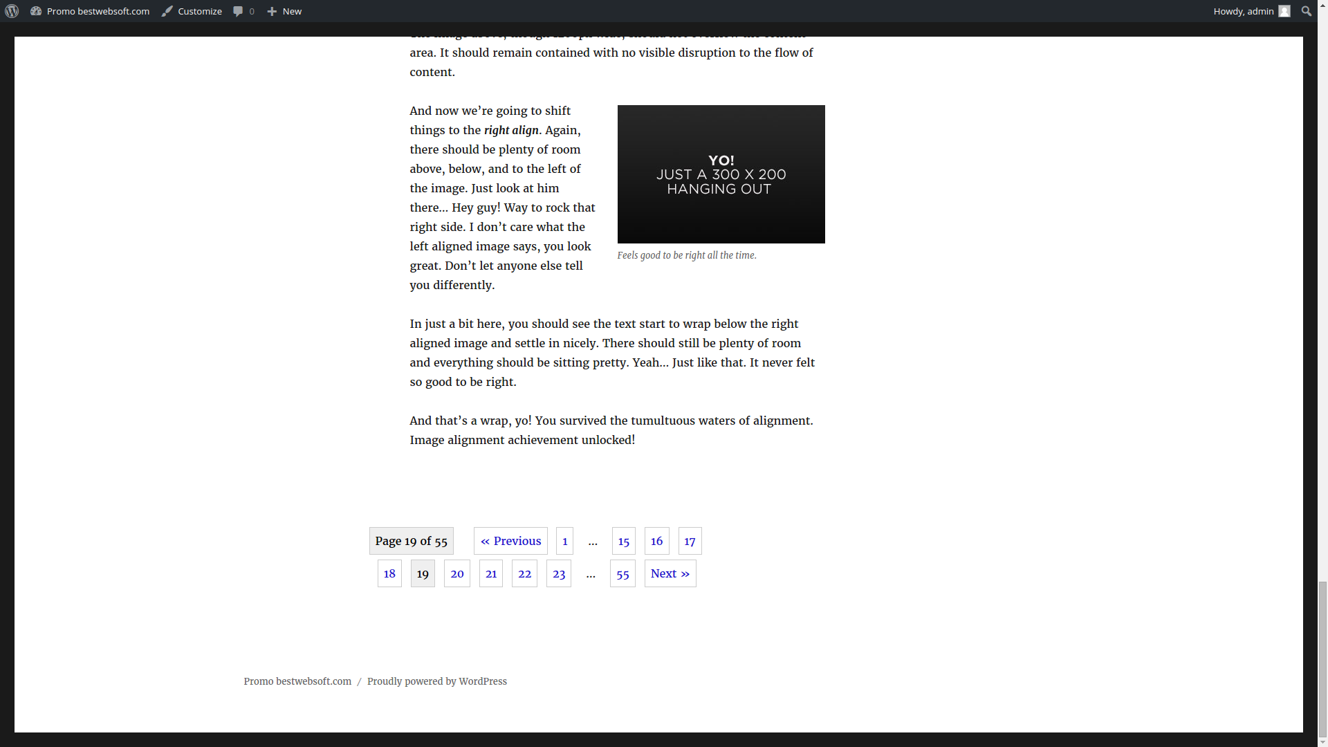Custom pagination block in the front-end - shorthand output.