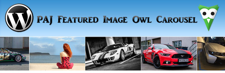 PAJ Featured Image Owl Carousel / Slider