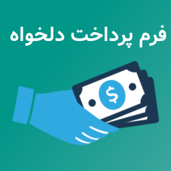 پلاگین پرداخت دلخواه