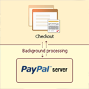 Payment Form for PayPal Pro Icon