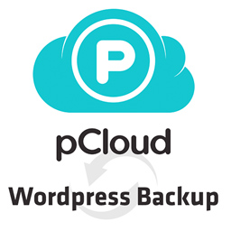 pCloud Backup