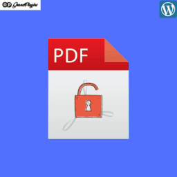 PDF Password Protect Icon