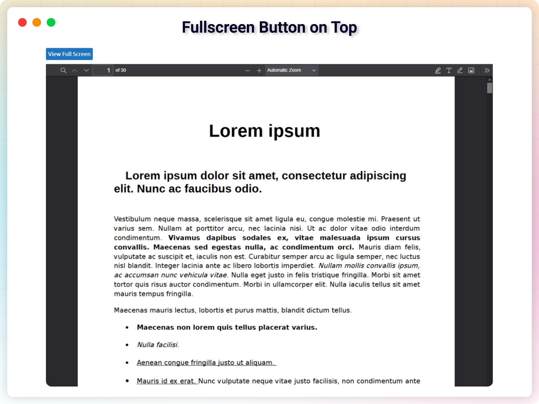 Full Screen preview