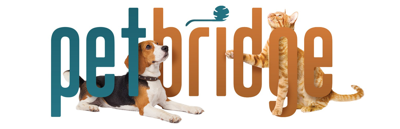 WordPress 外掛 PetBridge 的封面圖片