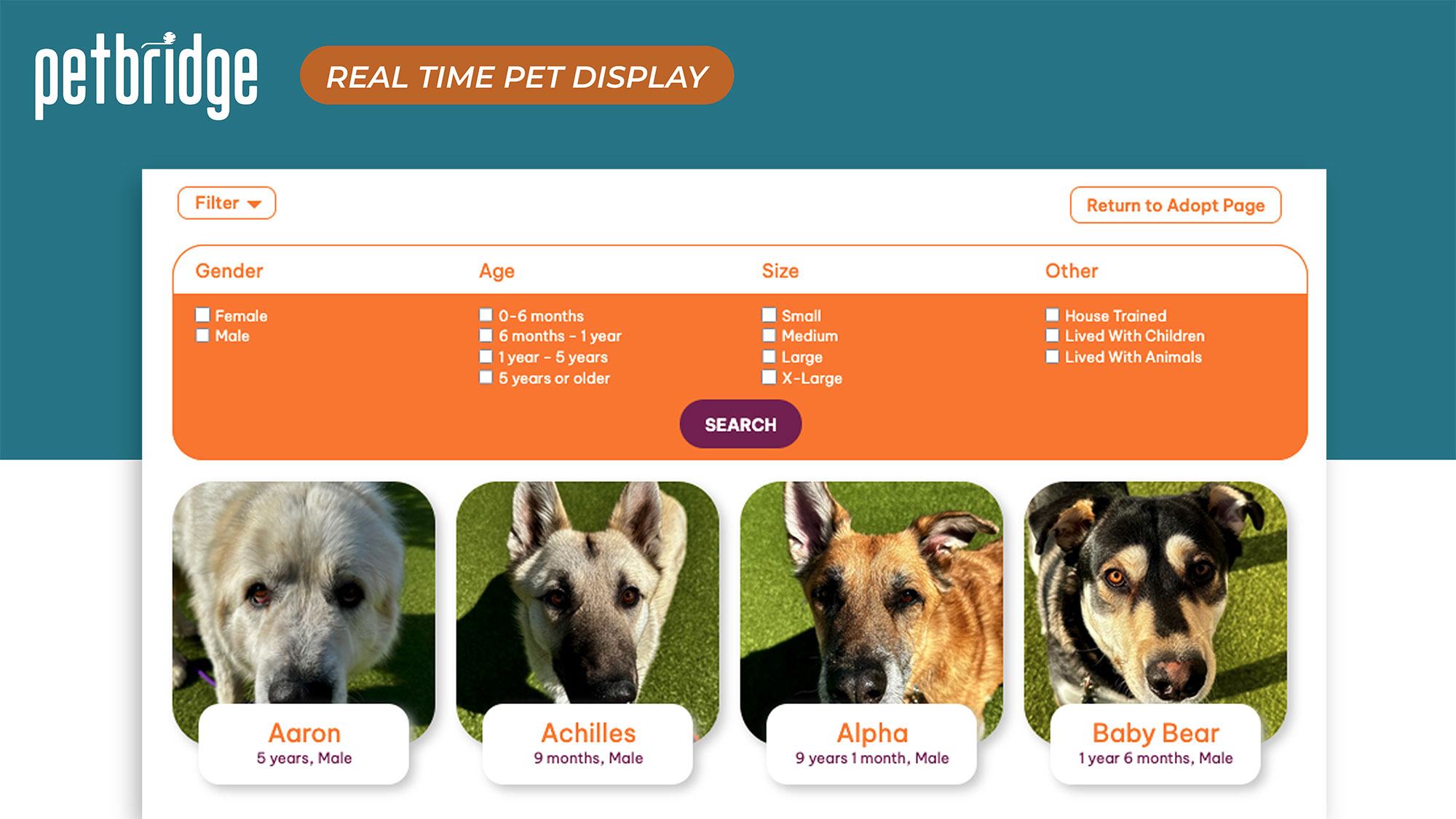 Search and filter tools allowing visitors to browse adoptable pets by species, breed, age, and more.
