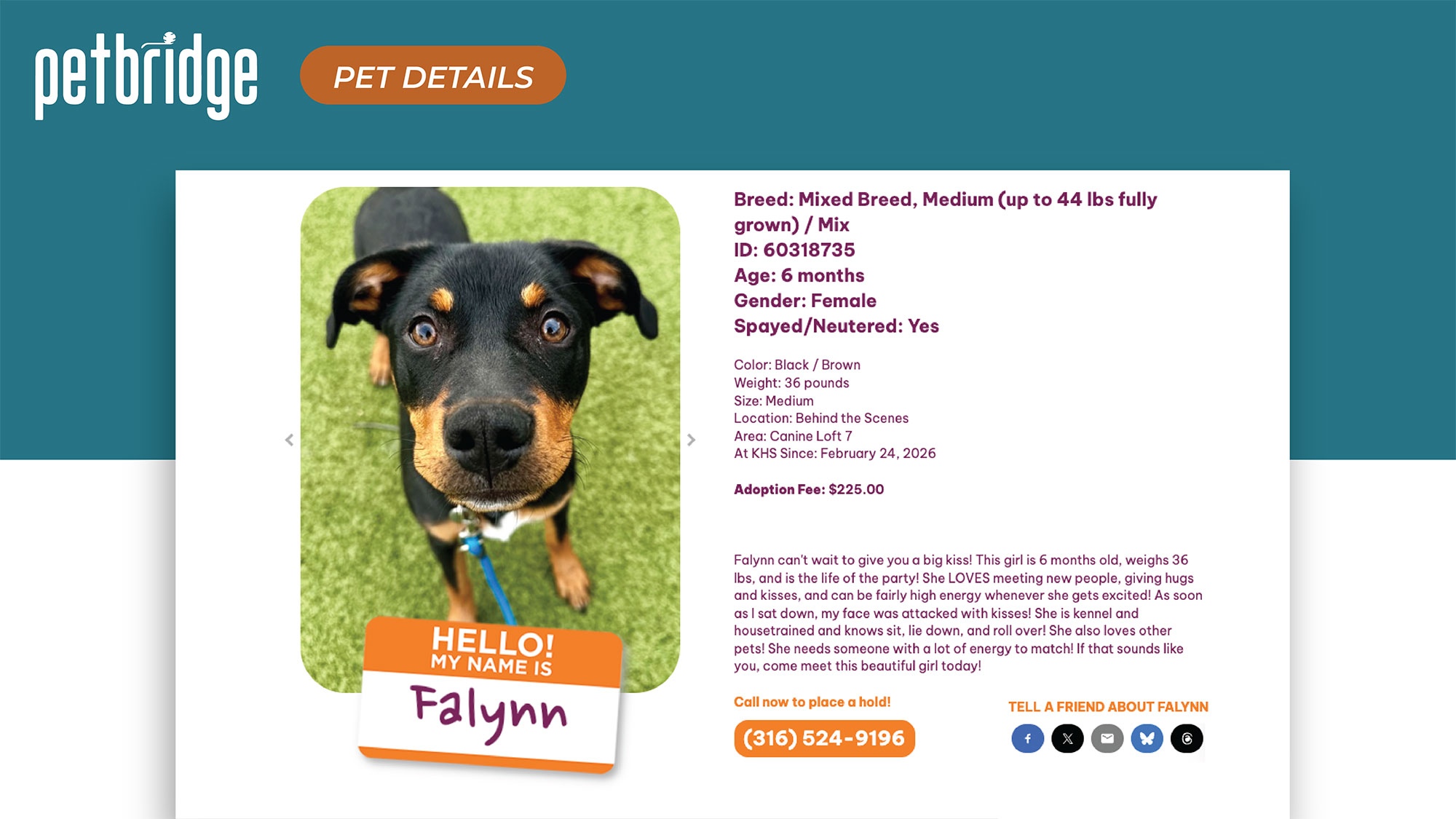 Individual pet detail page with photos and adoption information.