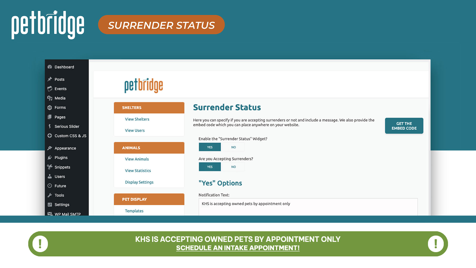 Surrender Status widget displaying current intake availability.