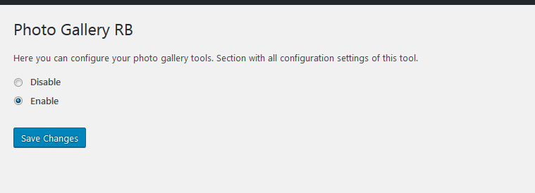 Photo Gallery plugin options