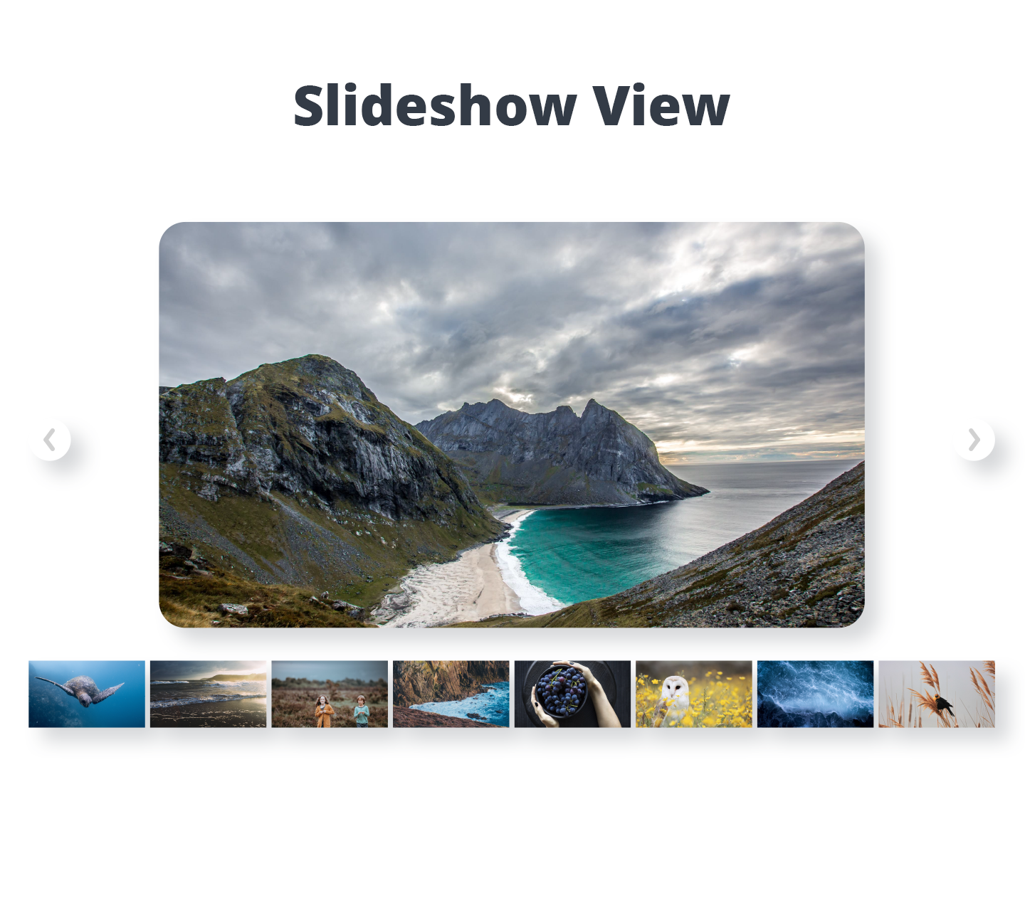 Photo Gallery by 10Web &#8211; Mobile-Friendly Image Gallery