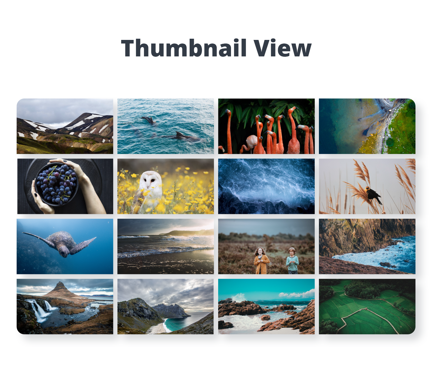 Photo Gallery - Thumbnails View