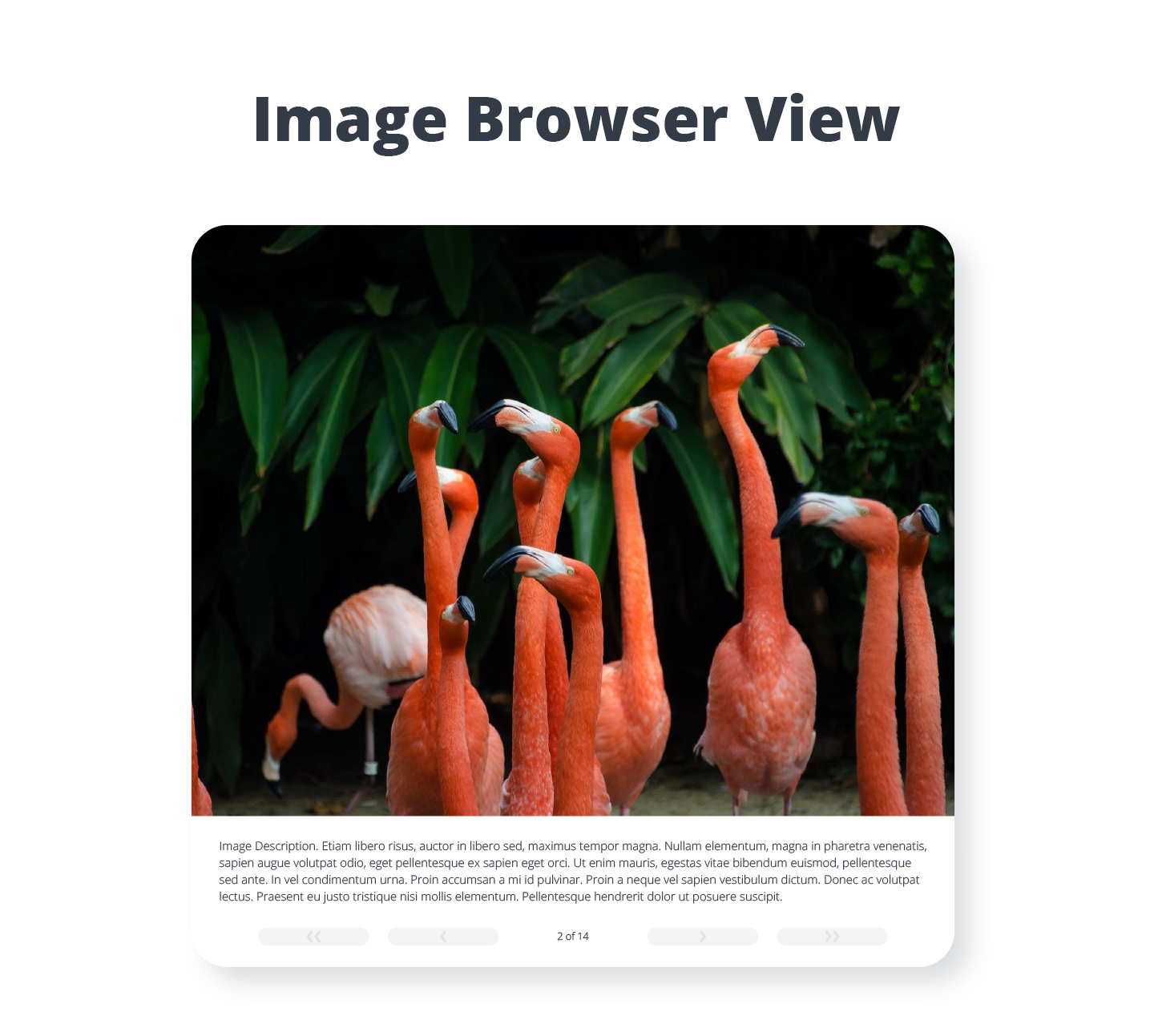 Photo Gallery - Image Browser View