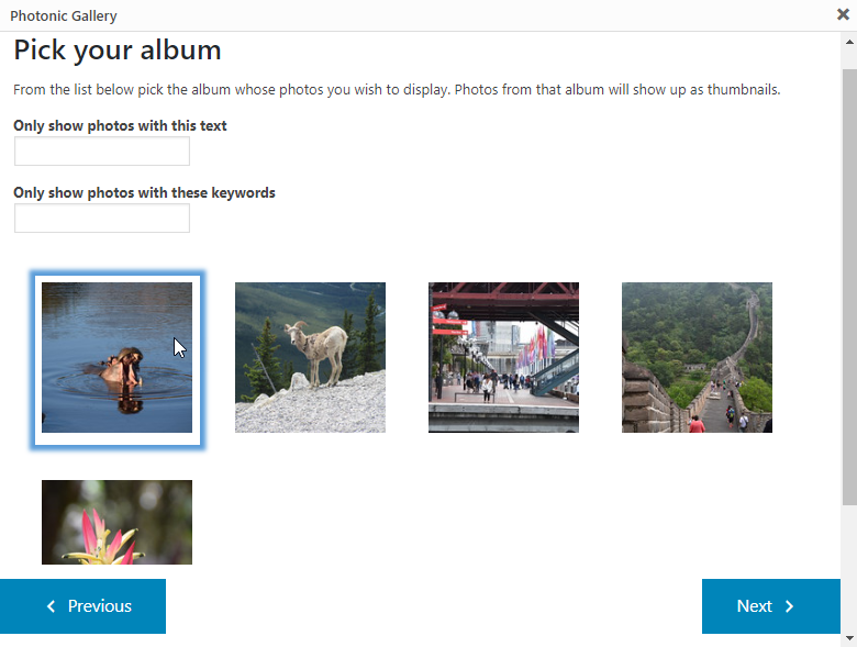 The wizard shows you the options available and helps construct the gallery easily.