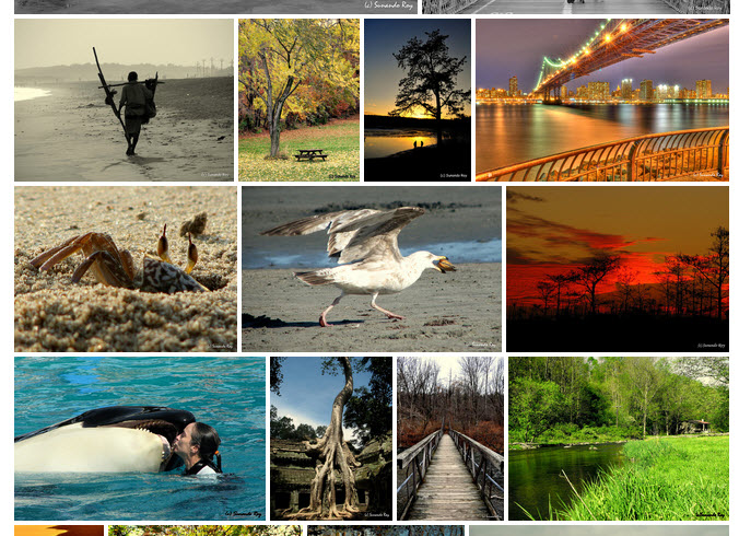 An example of the "Random Justified Gallery" layout.