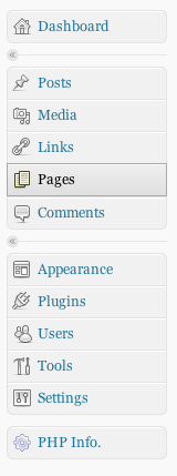 PHP Info admin menu.