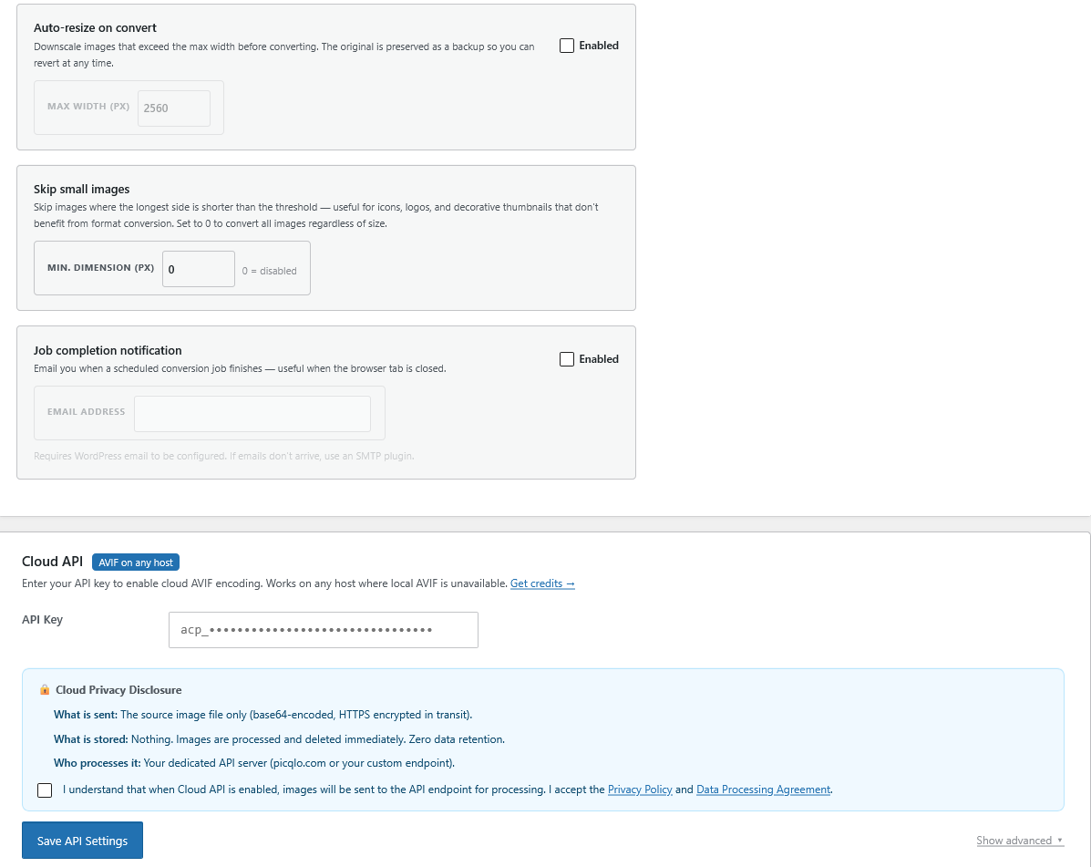 Settings tab (continued) — auto-resize, skip small images, job completion notifications, and Cloud API configuration.