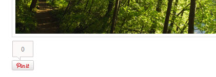 Pinterest Image Pin with vertical count