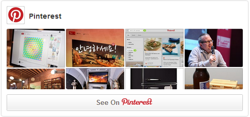 Pinterest Widget Screen Shot