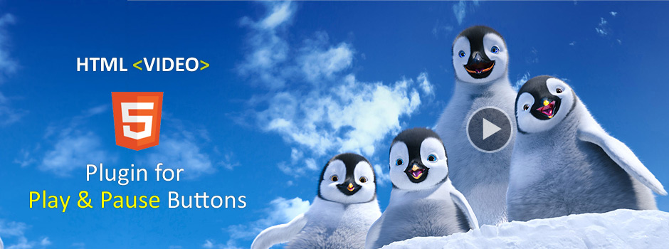 Play Pause Button for Video