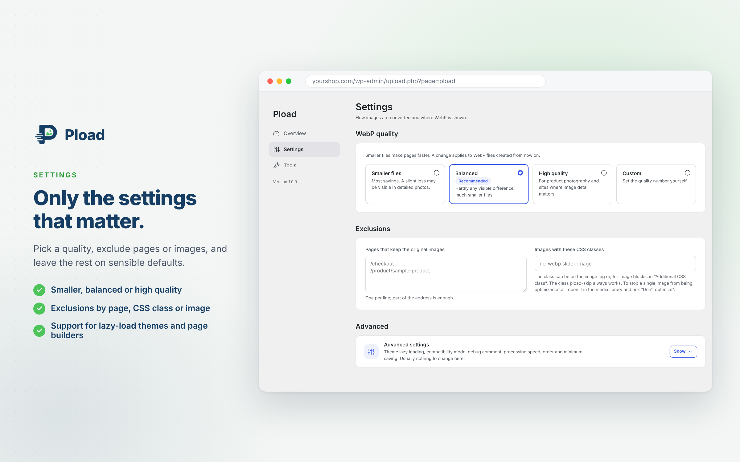 Settings: quality level, exclusions and advanced options.