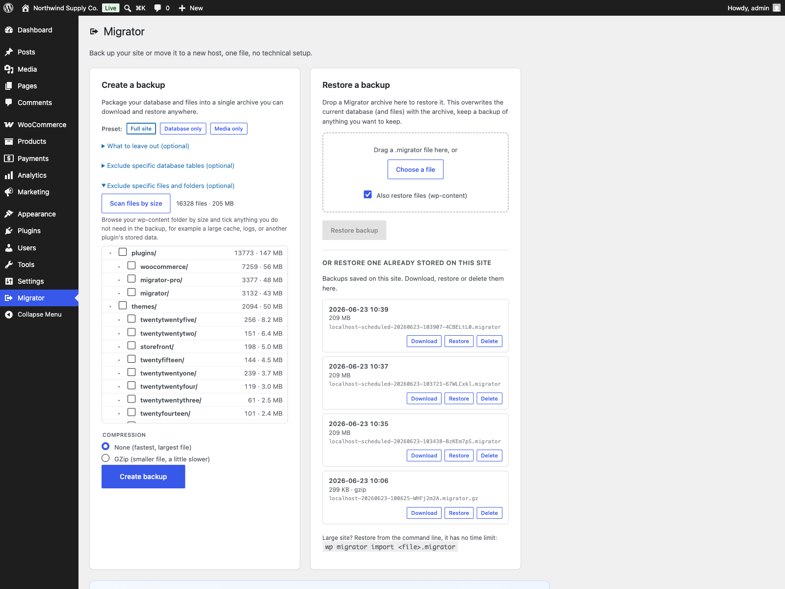 The file-size explorer: scan wp-content and see each folder's size so you can leave out what you do not need.