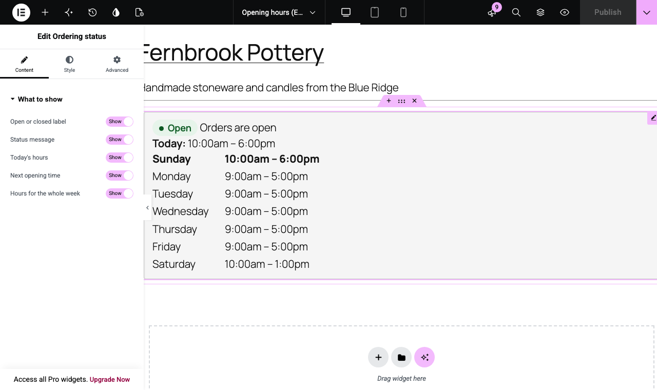 The same display as an Elementor widget, with the same choices, under its own PluginCity group.