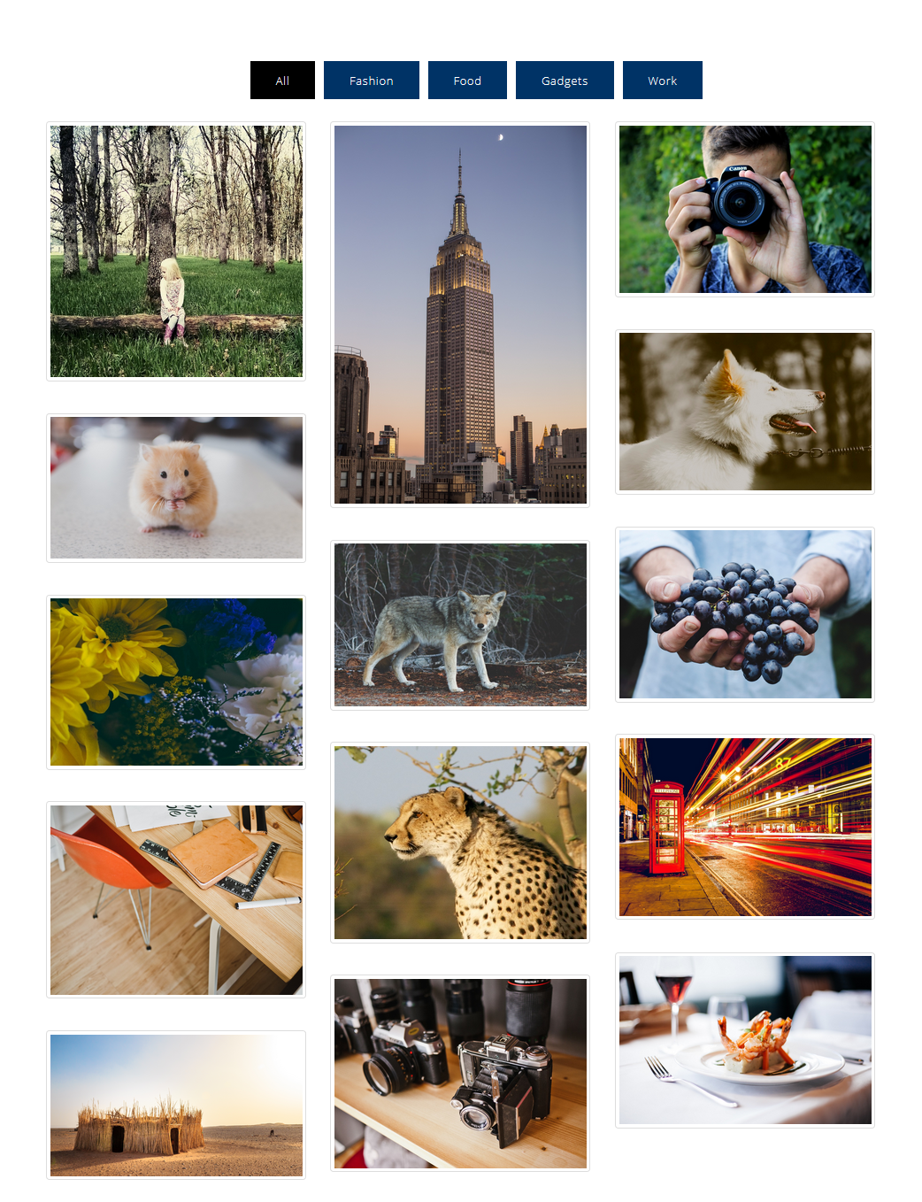 Filter Thumbnails By Portfolio Filters