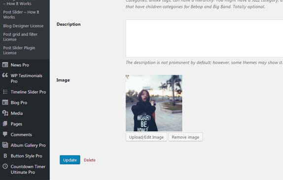 Admin view showing category image.