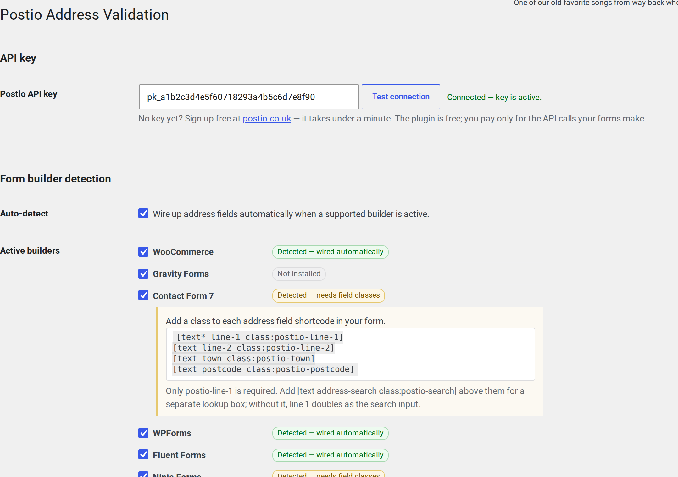 The settings page — paste your key, test it, and see exactly which of your form builders were detected.