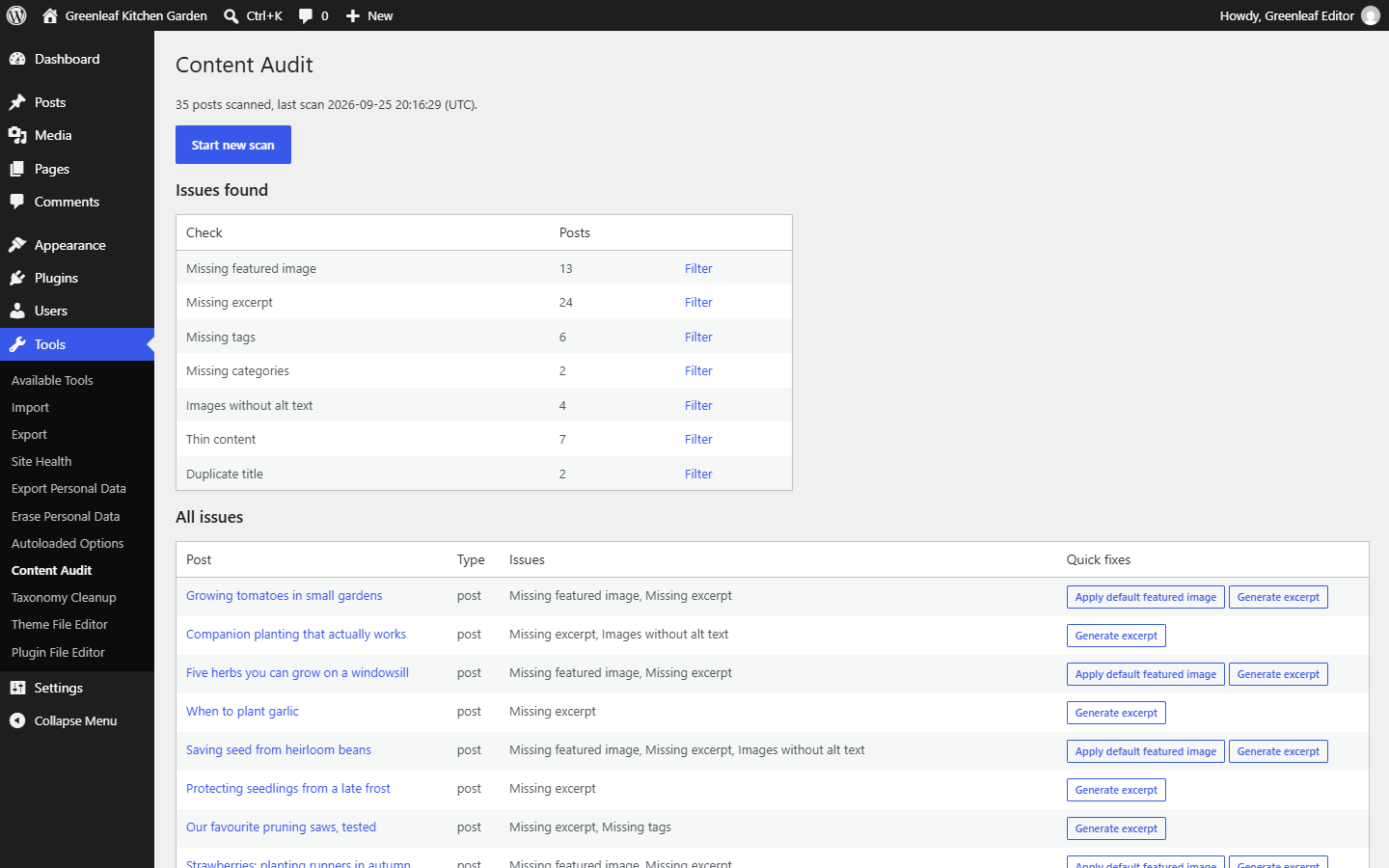 The audit report: how many posts fail each check, with a filter link per check.