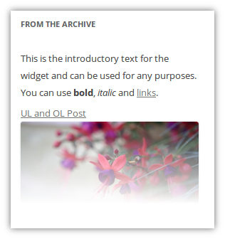 The introductory text for the widget.