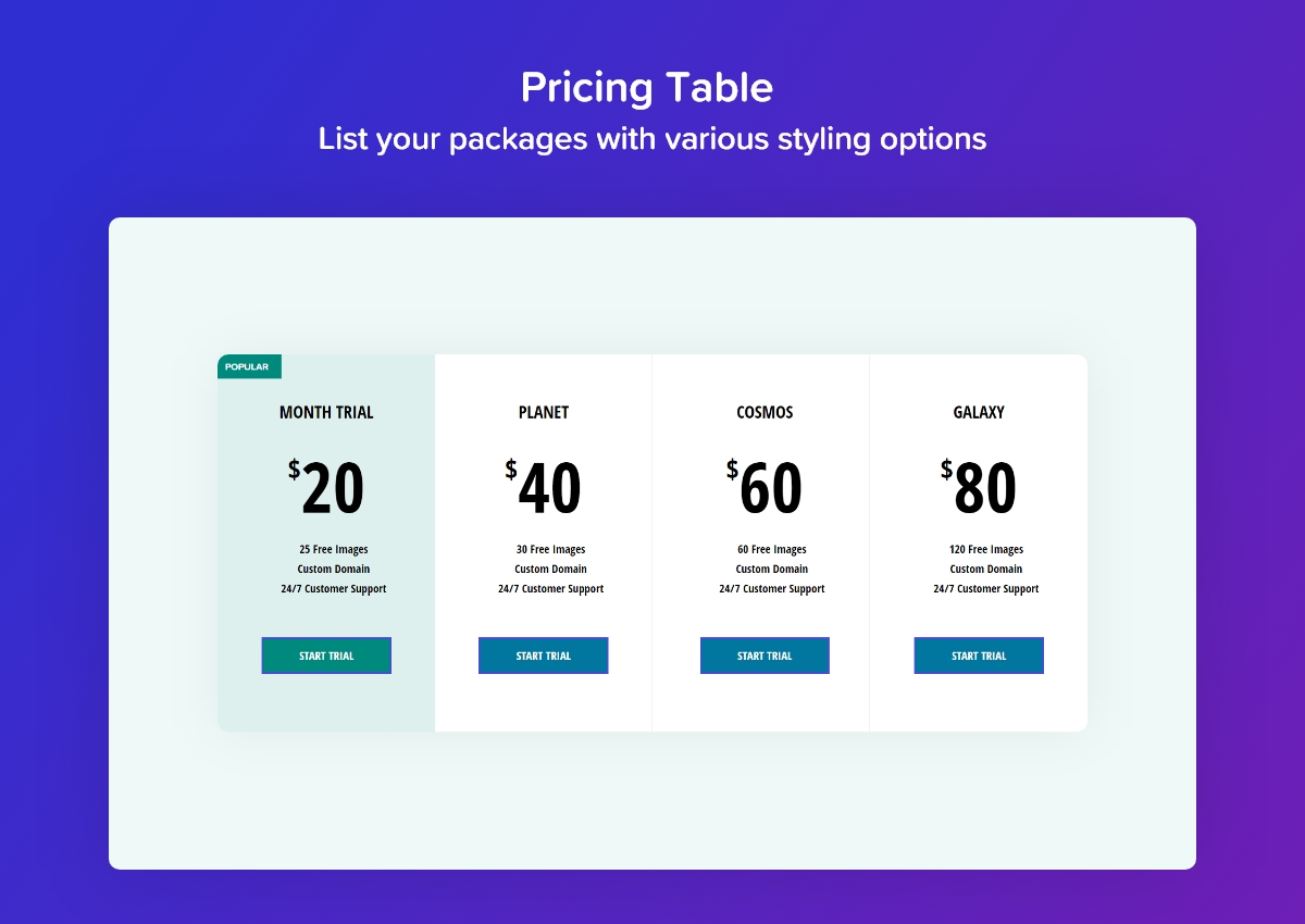 Pricing Table