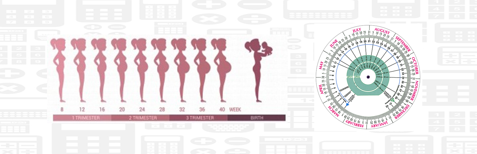 Pregnancy Calculator