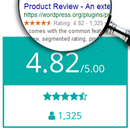 Product Review Icon