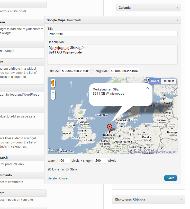 <p>The Google Maps widget.</p>