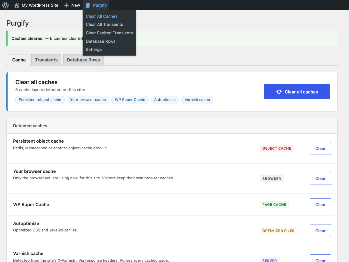 Cache clear: every cache layer detected on the site, cleared with one click from the toolbar or the Cache tab, or one at a time.