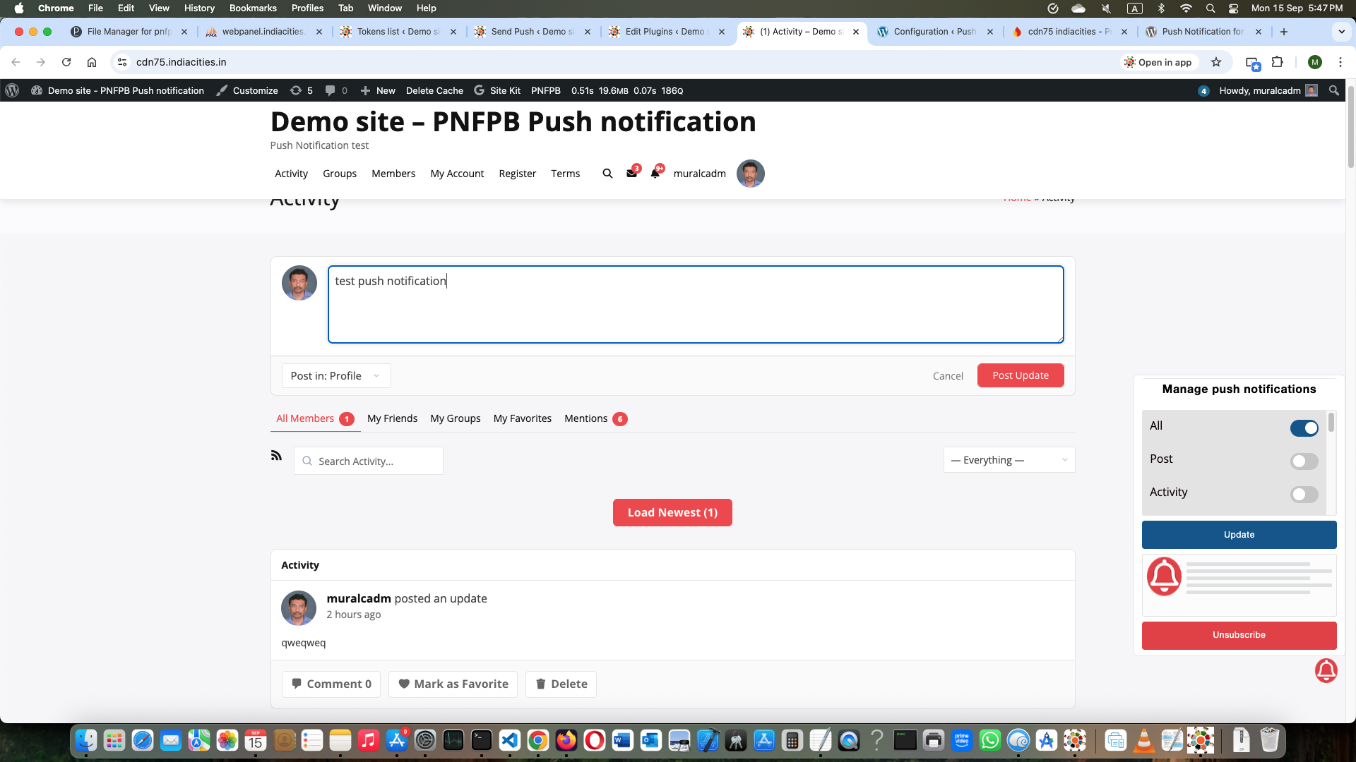 On demand push notification page in plugin settings area
10.Customize plugin buttons
11.API for mobile app which are using webview
12.Special settings for NGINX based server