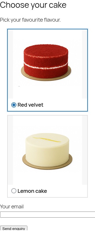 Mobile layout: full-width choices that fit a narrow screen.