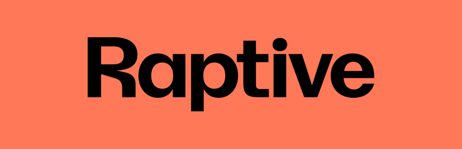 Raptive SEO