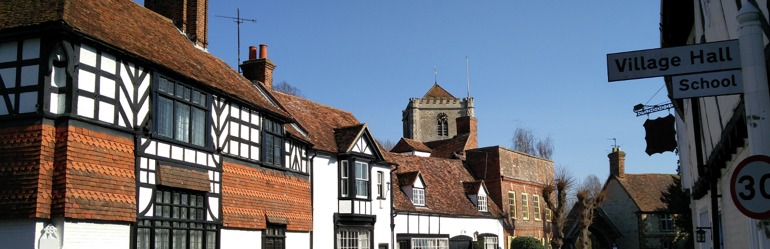 WordPress 外掛 Retrobadger Village Extras (rbve) 的封面圖片