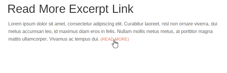 Product image for Read More Excerpt Link.
