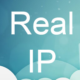 Real IP Detector Icon