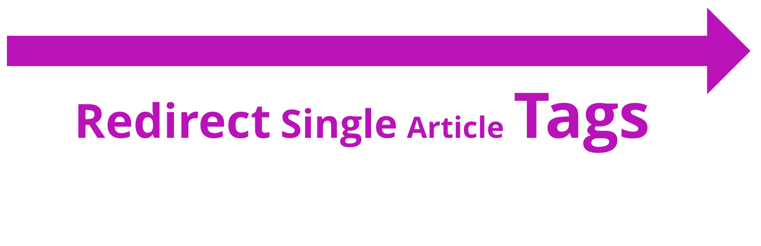 Redirect Single Article Tags