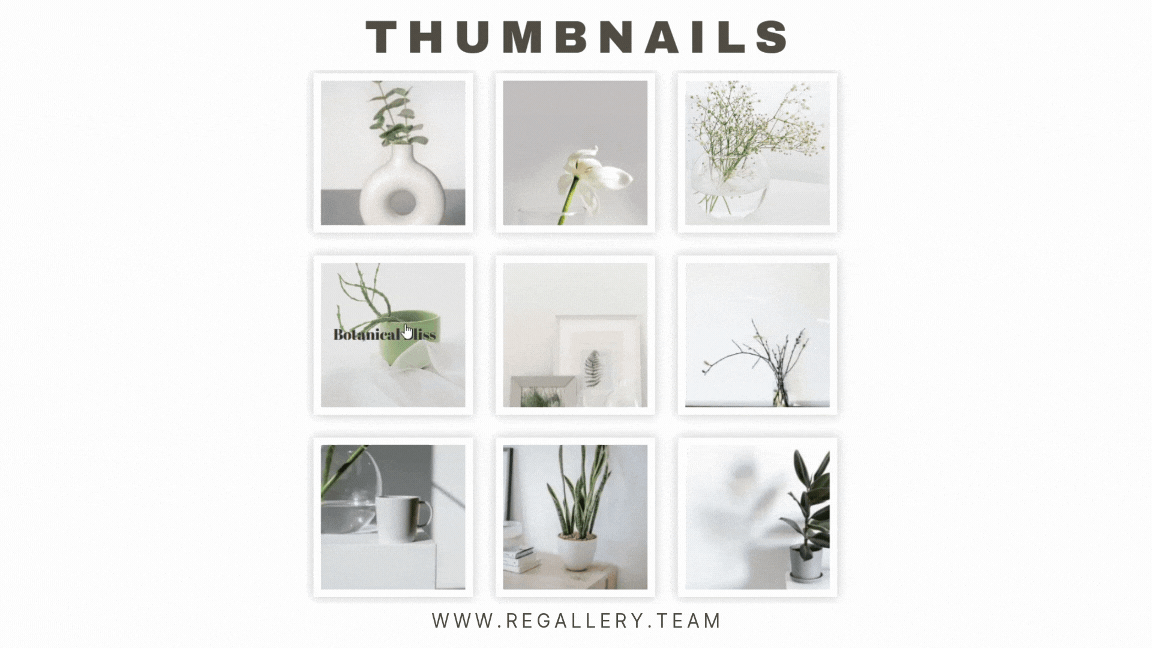 Gallery Thumbnails view