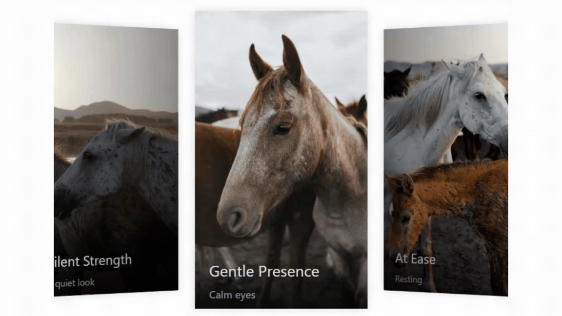 Elegant Coverflow Gallery Layout
