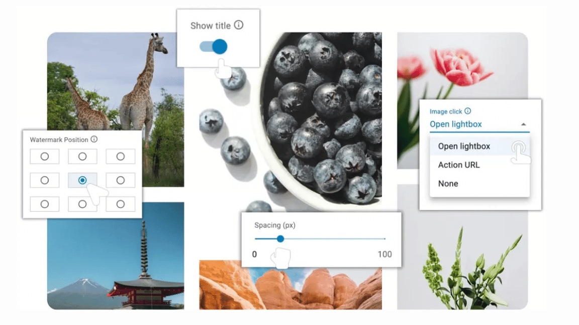 Customize Every Gallery with Live Preview