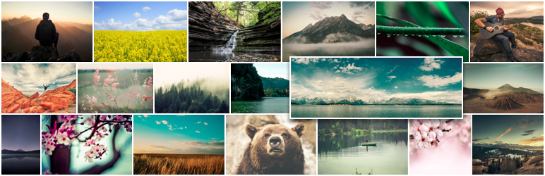 Product image for Responsive Gallery Grid.