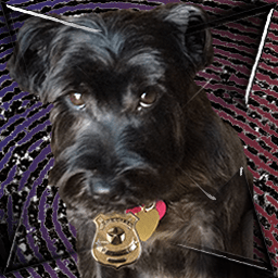 Responsive Iframe Watchdog logo