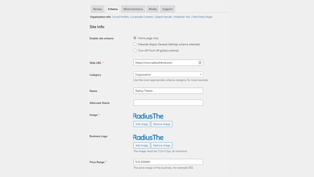 Review & Schema Settings Panel