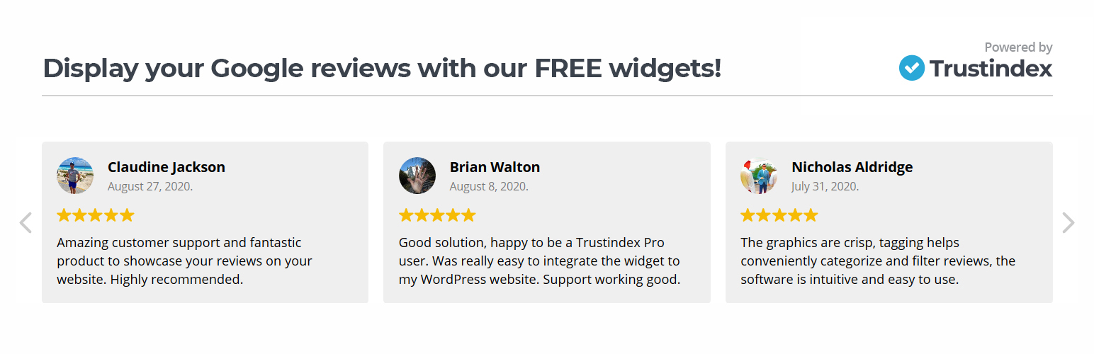Review widget addon for Divi
