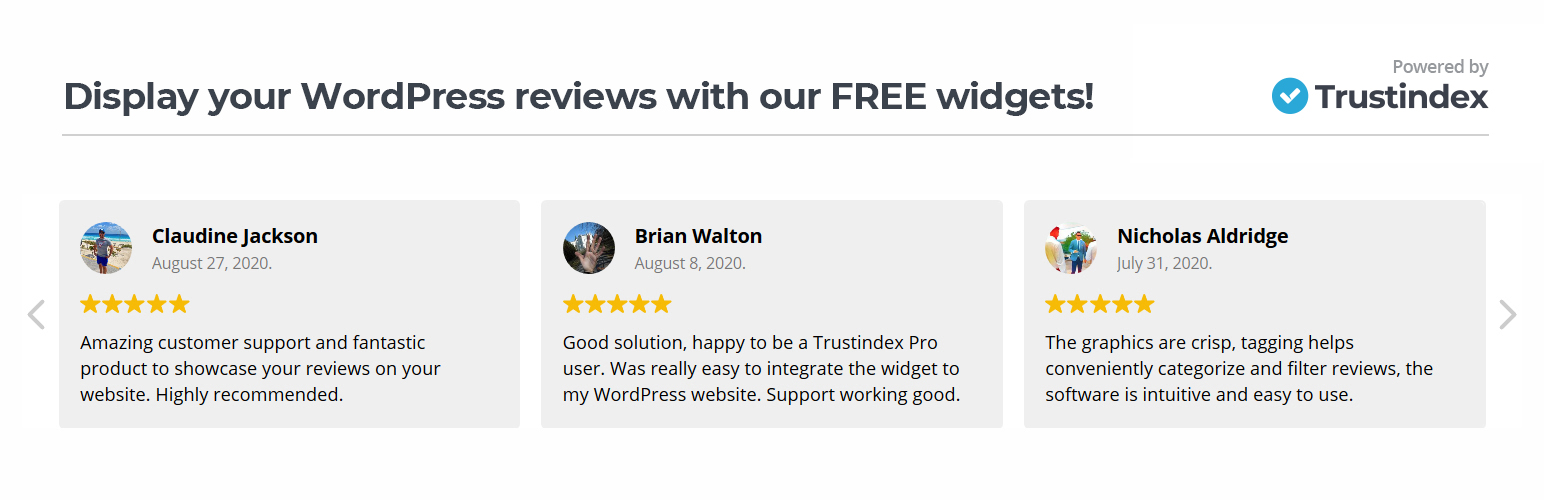 Widgets for WordPress Reviews